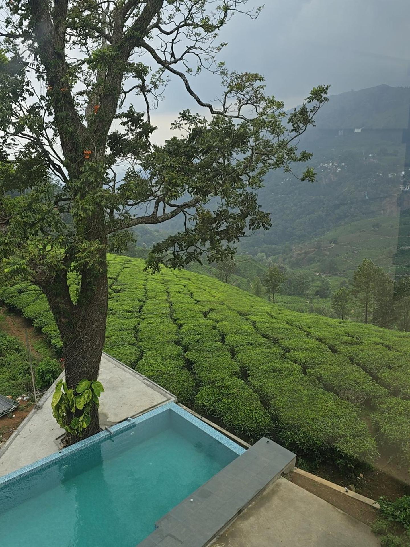 Beauty Spot Munnar Hotel Buitenkant foto