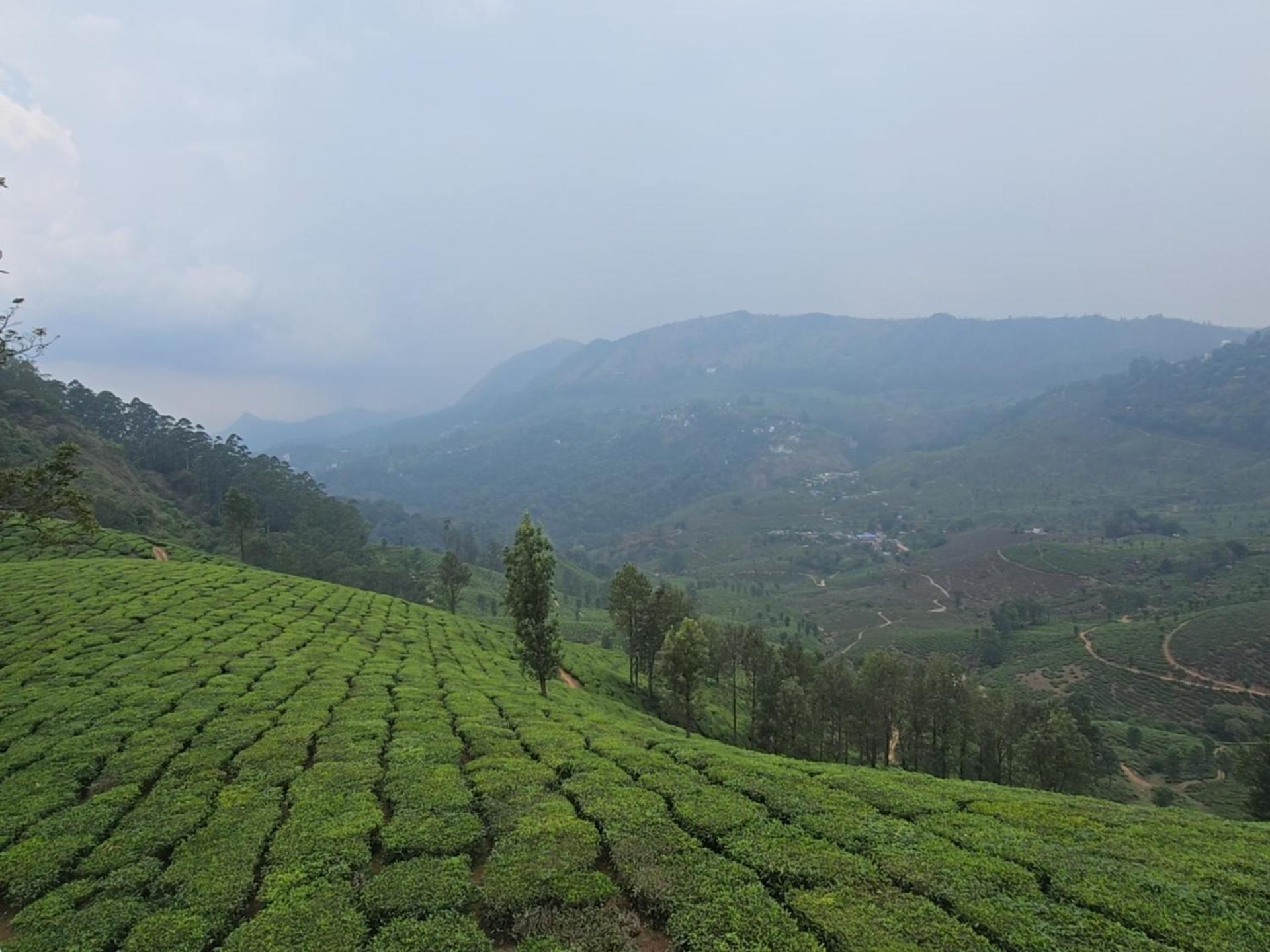 Beauty Spot Munnar Hotel Buitenkant foto
